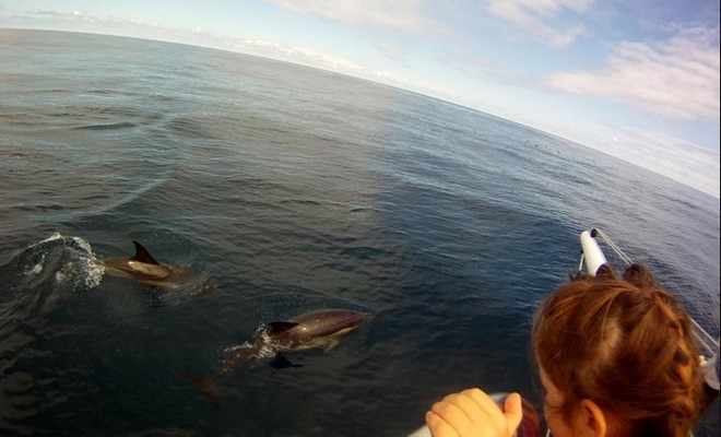 Babies on board - watching dolphins, photo by Somira Sao ©  SW